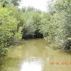 DSCN7277.JPG