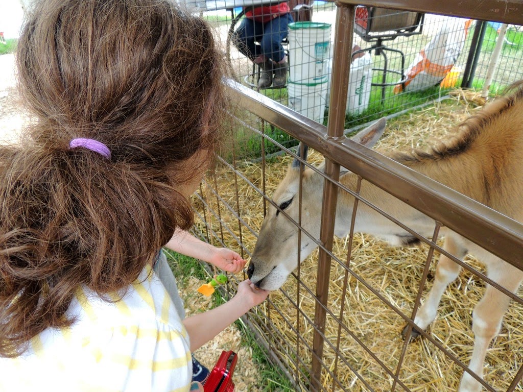 [DSCN9323%255B3%255D.jpg]