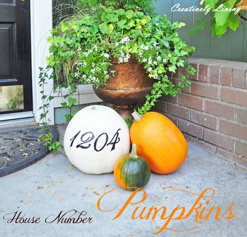House-Number-Pumpkins-1.51-1024x982