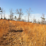 Hunting Habitat 9, Anderson Creek