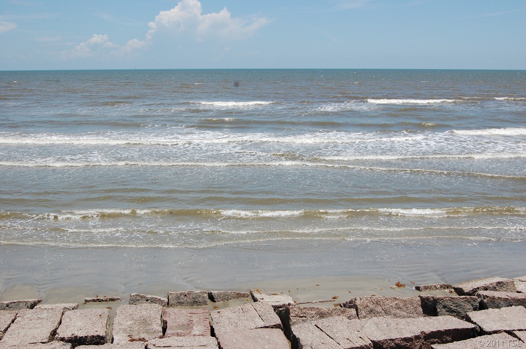 [DSC_0542%255B7%255D.jpg]
