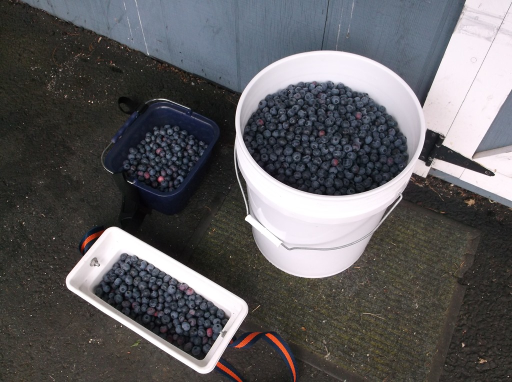 [DSCF5047%255B8%255D.jpg]