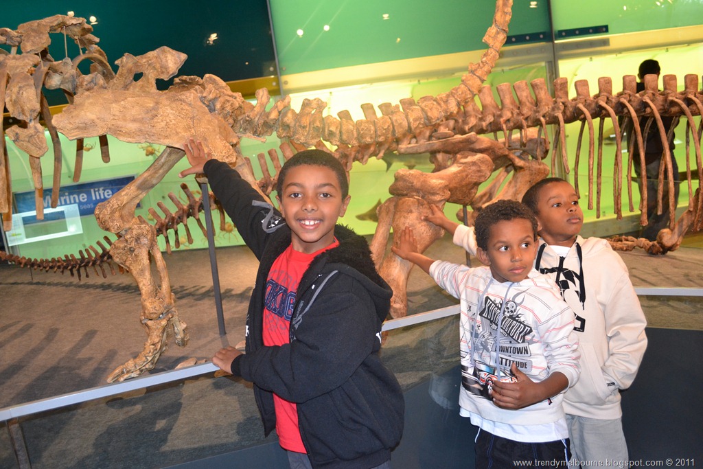 [DSC_0803%255B6%255D.jpg]