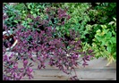 DSC_0047 DSC_0047