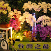 shopping landscape 149.JPG