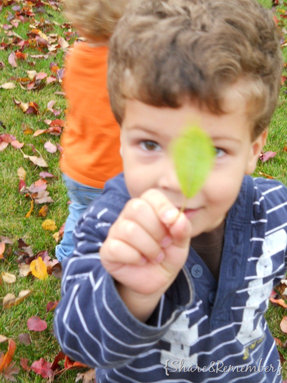 [green%255B3%255D.jpg]