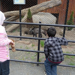 P1090655.JPG