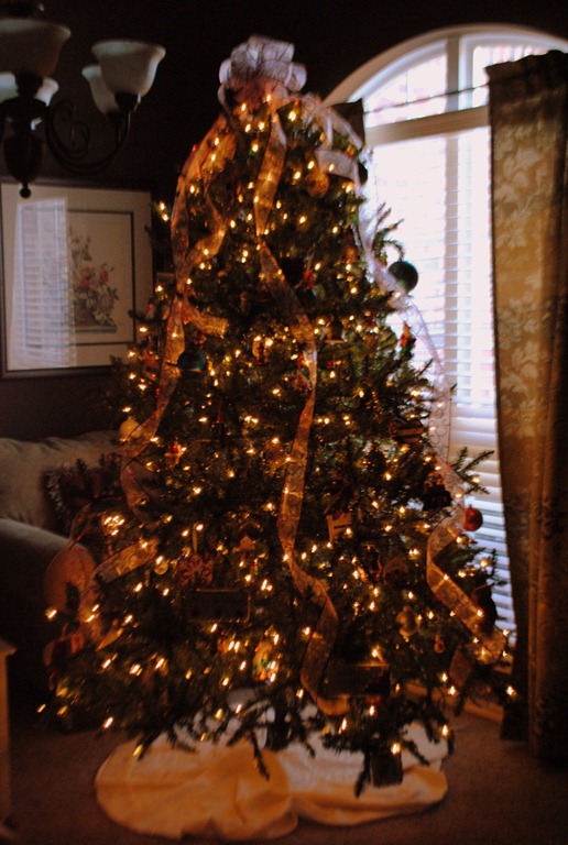 [DSC_0022%255B4%255D.jpg]