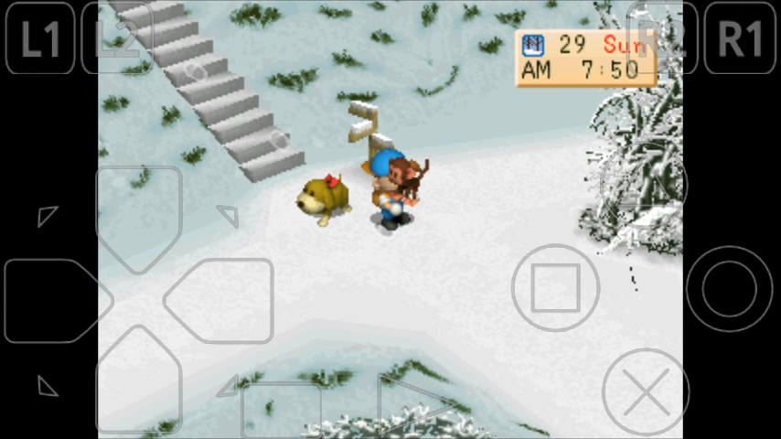 Download cheat harvest moon back to nature lengkap epsxe android