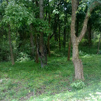 KGudiWildlifeSanctuary