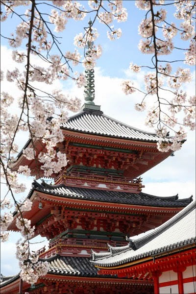 [cherryblossomskiyomizu-jpg3.jpg]