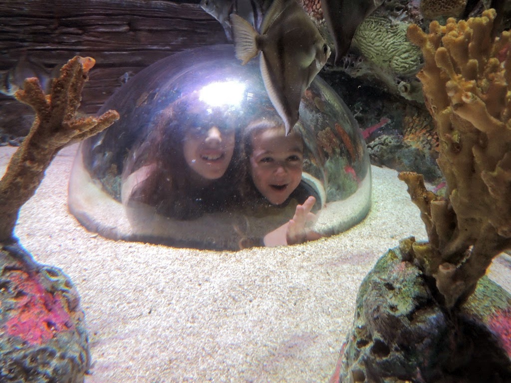 [DSCN1357%255B3%255D.jpg]