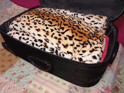 [saco%2520a%2520v%25C3%25A1cuo%255B6%255D.gif]