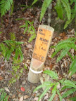 IMG_4885_512.JPG