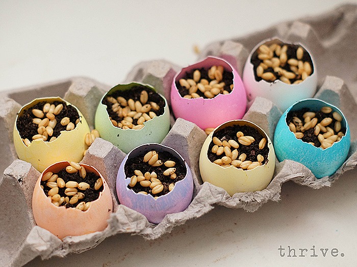 Easter Egg Wheat Grass Centerpiece from THRIVE