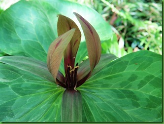 [IMG_2421_thumb14.jpg]