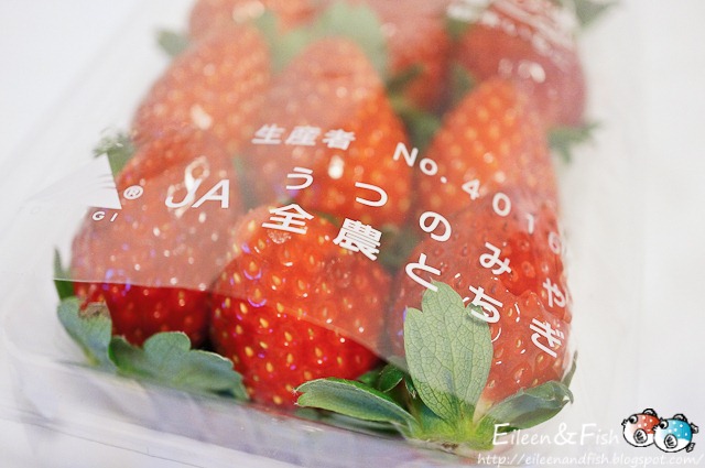 [jp-31-2%255B3%255D.jpg]