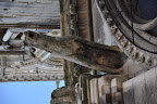 Notre Dame