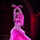 Document Name_3_24.JPG