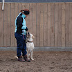 jan-feb 2010 090.JPG