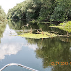 DSCN2975.JPG