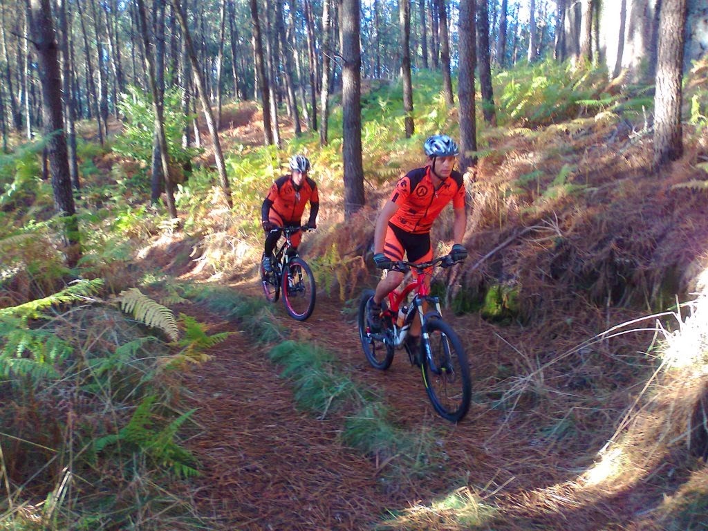 [Fotografia07692.jpg]