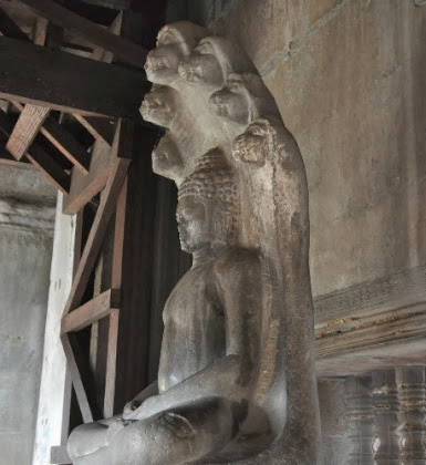 DSC_0116.jpg DSC 0116