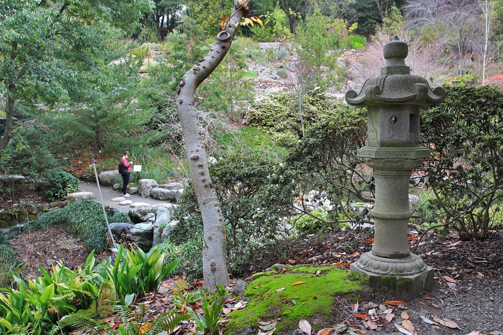 [121228_UCBotGarden_288%255B2%255D.jpg]