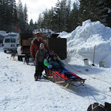 DogsledExpressTourPhotosFeb2010