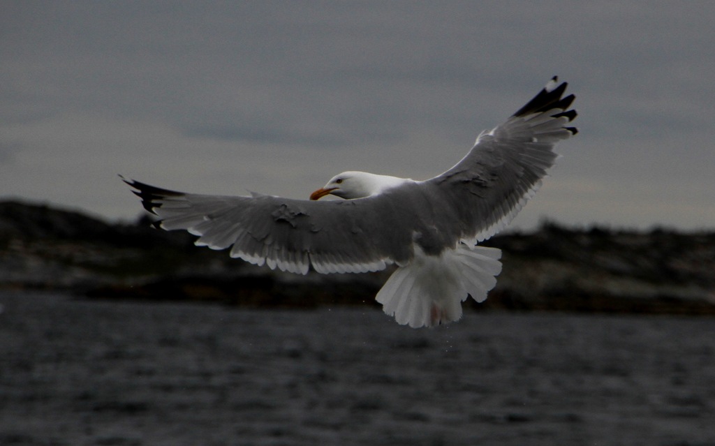 [IMG_7321%255B5%255D.jpg]