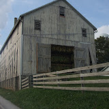 Dried Amish Corn