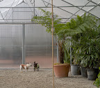 Sharkey, now that this greenhouse passes muster, we should drive to the smaller hoop house where all of the citrus is being stored.