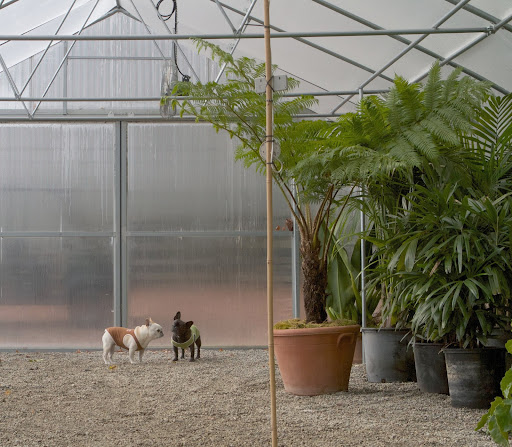 Sharkey, now that this greenhouse passes muster, we should drive to the smaller hoop house where all of the citrus is being stored.