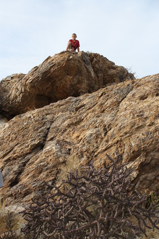 [saguaro%2520park-hike%2520119%255B6%255D.jpg]