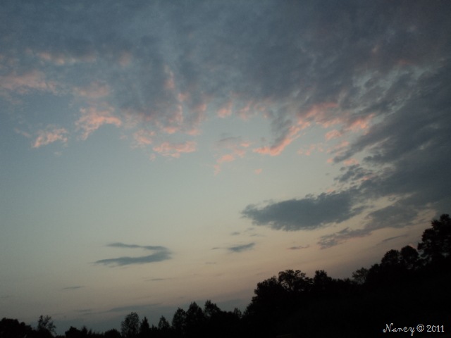 [DSC036616.jpg]