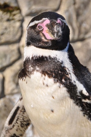 [DSC_0344%255B4%255D.jpg]