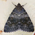 Dscn5241