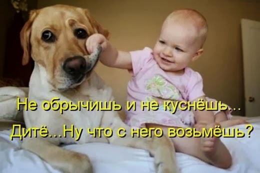 [34acea8612b941cfdcbaded8009_prev%5B7%5D.jpg]