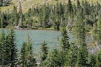 glacier_national_park_-_2009