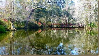 Magnolia Plantation_053