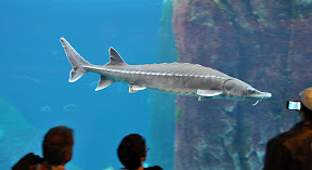 DSC_8961.jpg DSC_8961.jpg