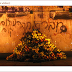 telaviv.6.jpg