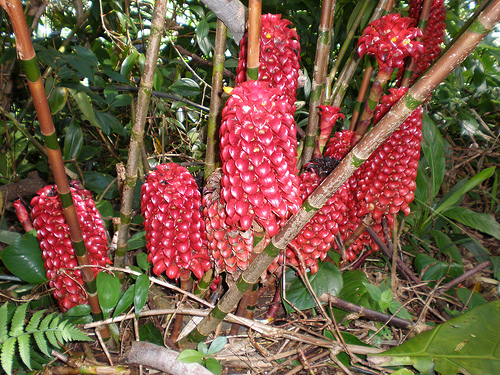 [image%255B81%255D.png]