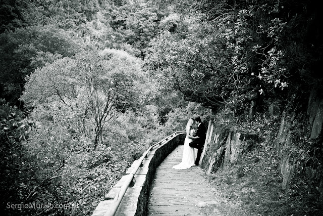 DP-2.jpg