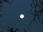 DSCN6206.JPG