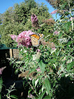 2012-01-24 17.46.21.jpg