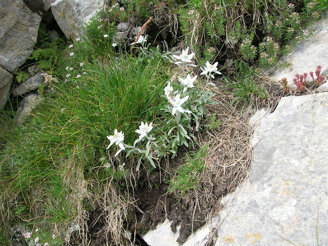 20100801%2520Hajla%2520019.JPG