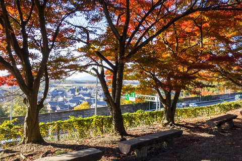20121125-_DSC5967 20121125-_DSC5967
