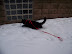 Playing in the Snow