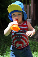 IMG_7775.JPG